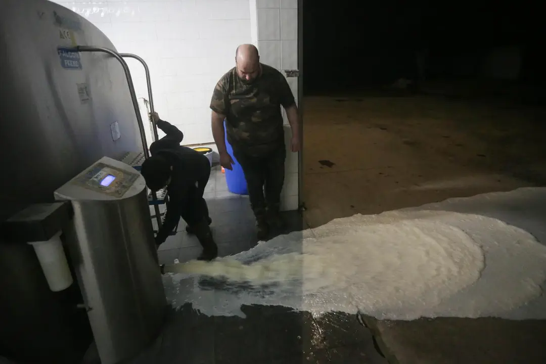 Un ganadero vierte la leche al suelo. - Europa Press