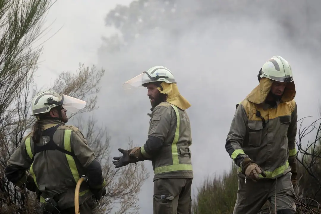 Varios bomberos trabajan en la extinci&oacute;n del fuego. - Europa Press.