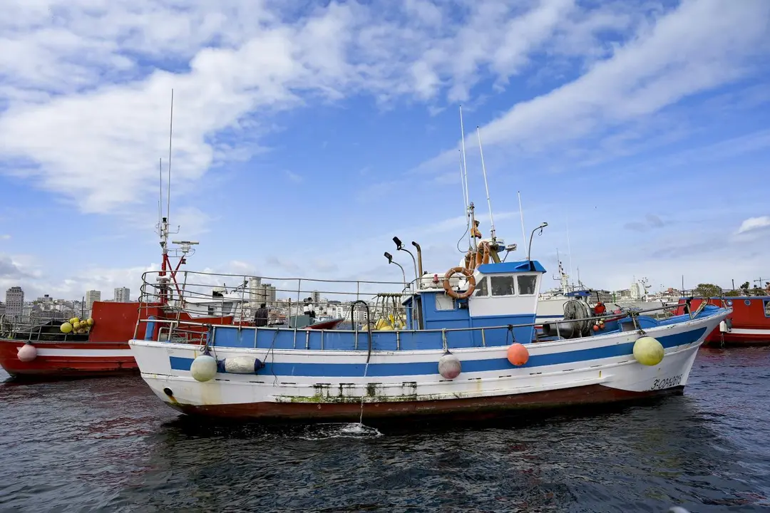 Varios barcos de flota artesanal. - Europa Press