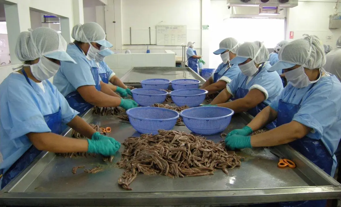 Convocadas ayudas para la industria alimentaria. - Europa Press
