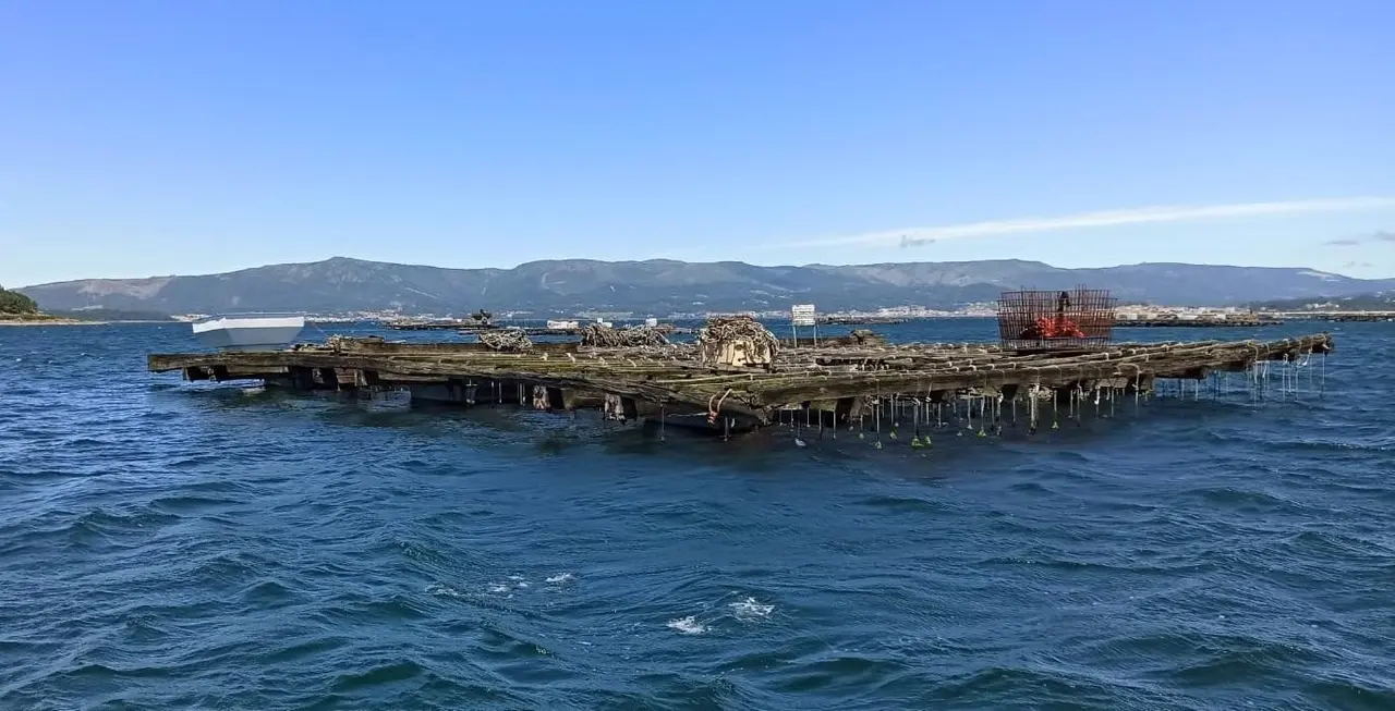 Batea de mejillones en A Illa de Arousa. - Europa Press
