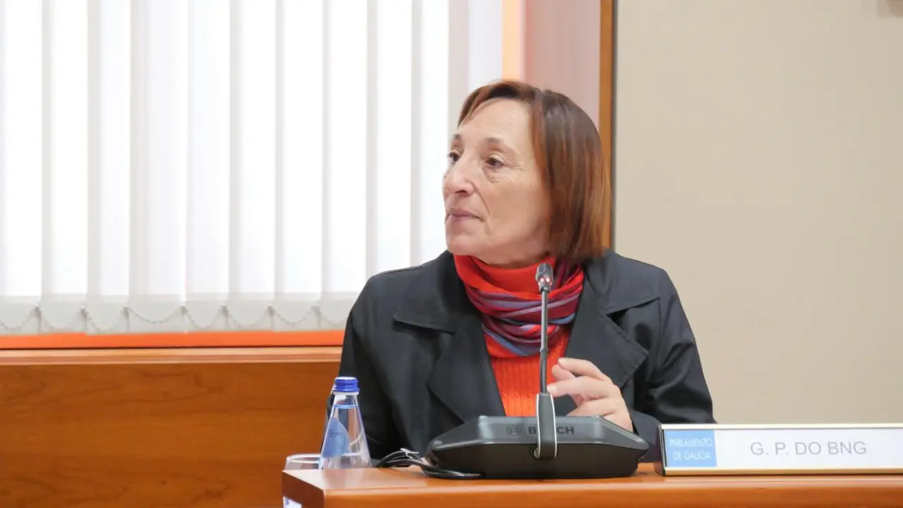 La diputada nacionalista Rosana P&eacute;rez. - BLOQUE NACIONALISTA GALLEGO