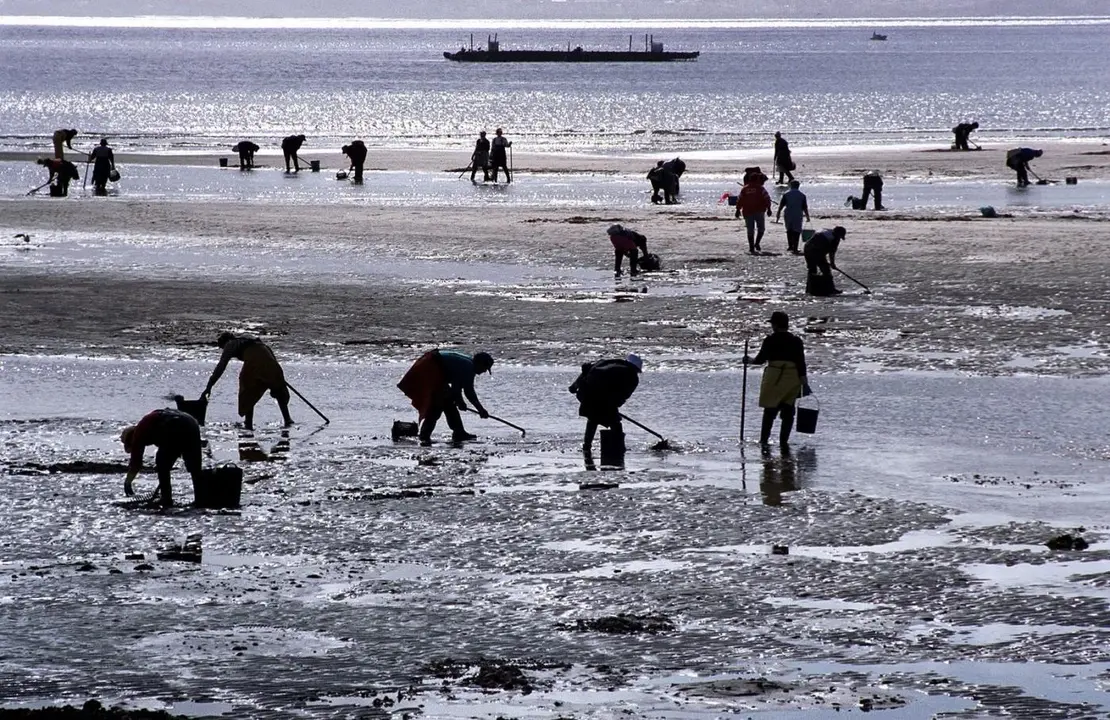 Mariscadores trabajando - Europa Press