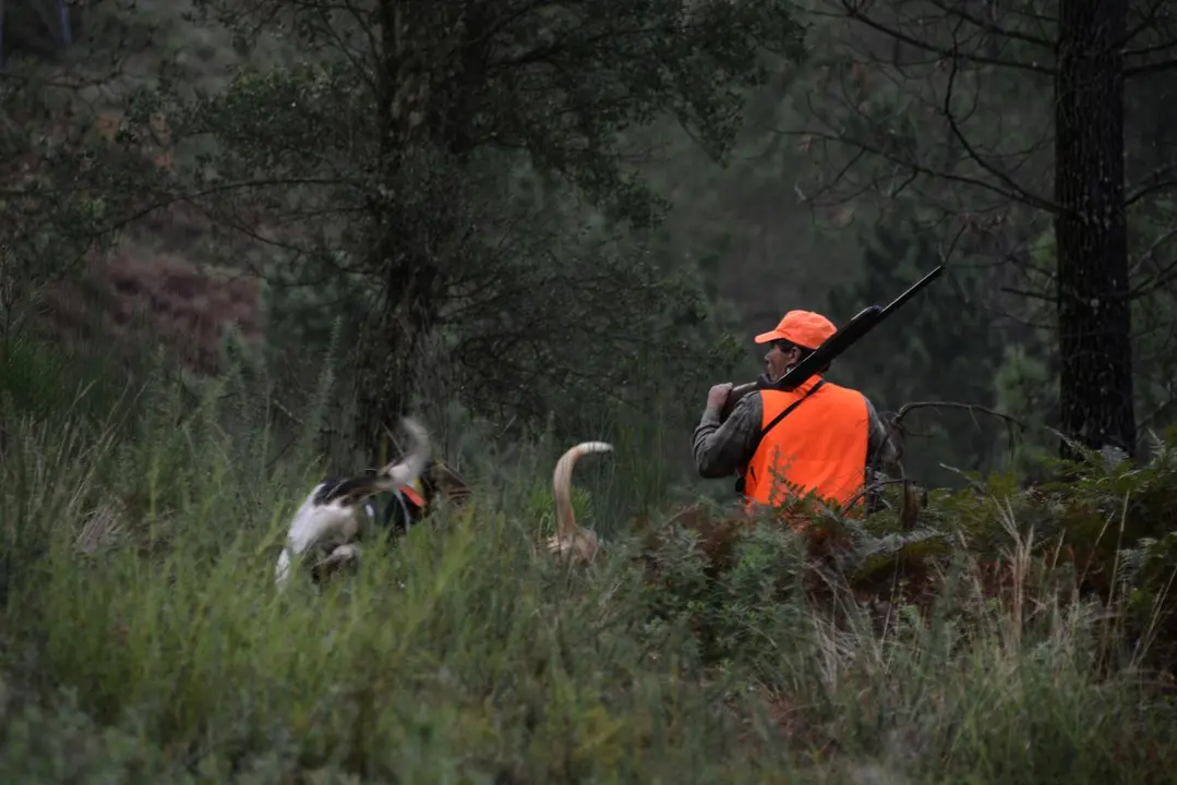 Un cazador en los montes de Cameixa. - ROSA VEIGA / EUROPA PRESS
