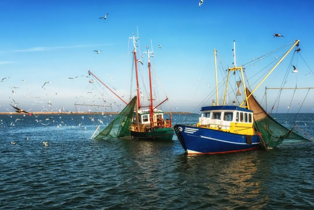 Barcos pescando. - Junta