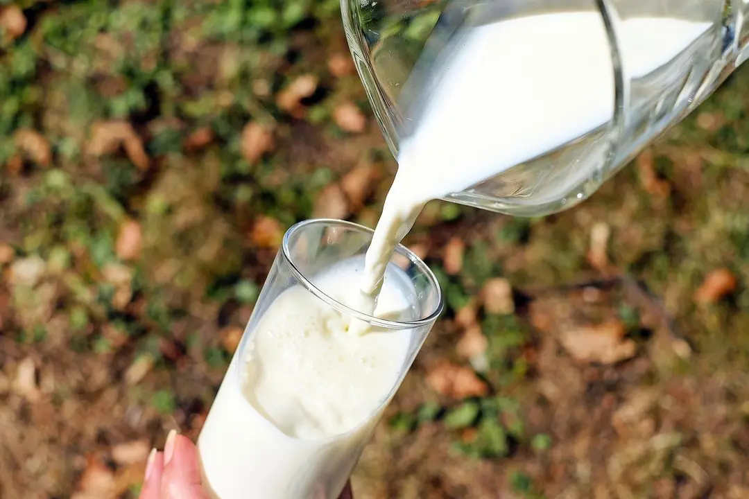 Vaso de leche. - Ilo en Pixabay