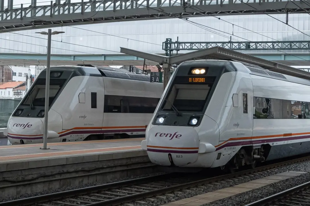 Trenes de cercan&iacute;as parados en las v&iacute;as de la estaci&oacute;n - C&eacute;sar Arxina / Europa Press
