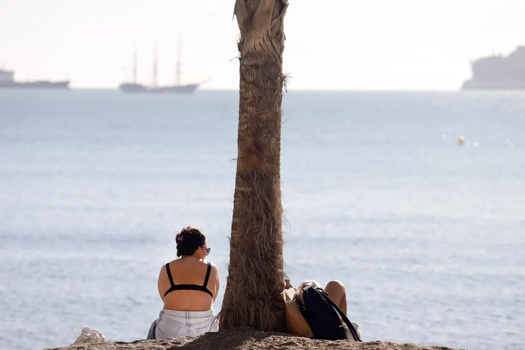 Personas en la playa de la Malagueta - &Aacute;lex Zea / Europa Press