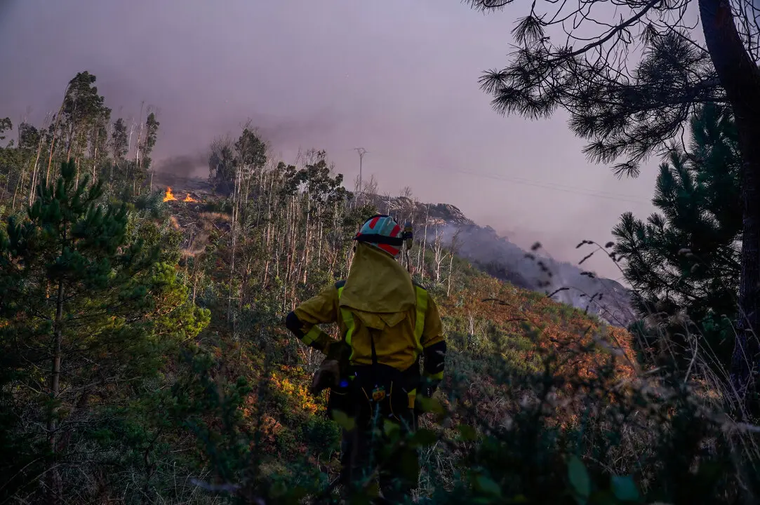 Un bombero observa el fuego | EP