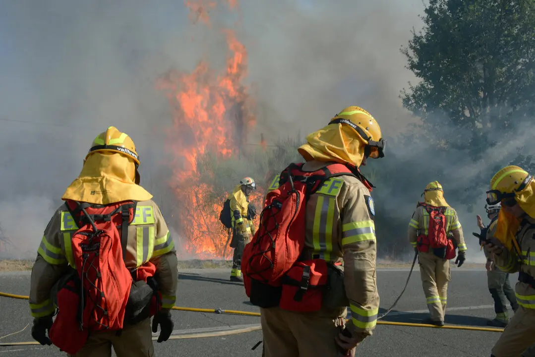 Incendio forestal en Oseira | Rosa Veiga / EP