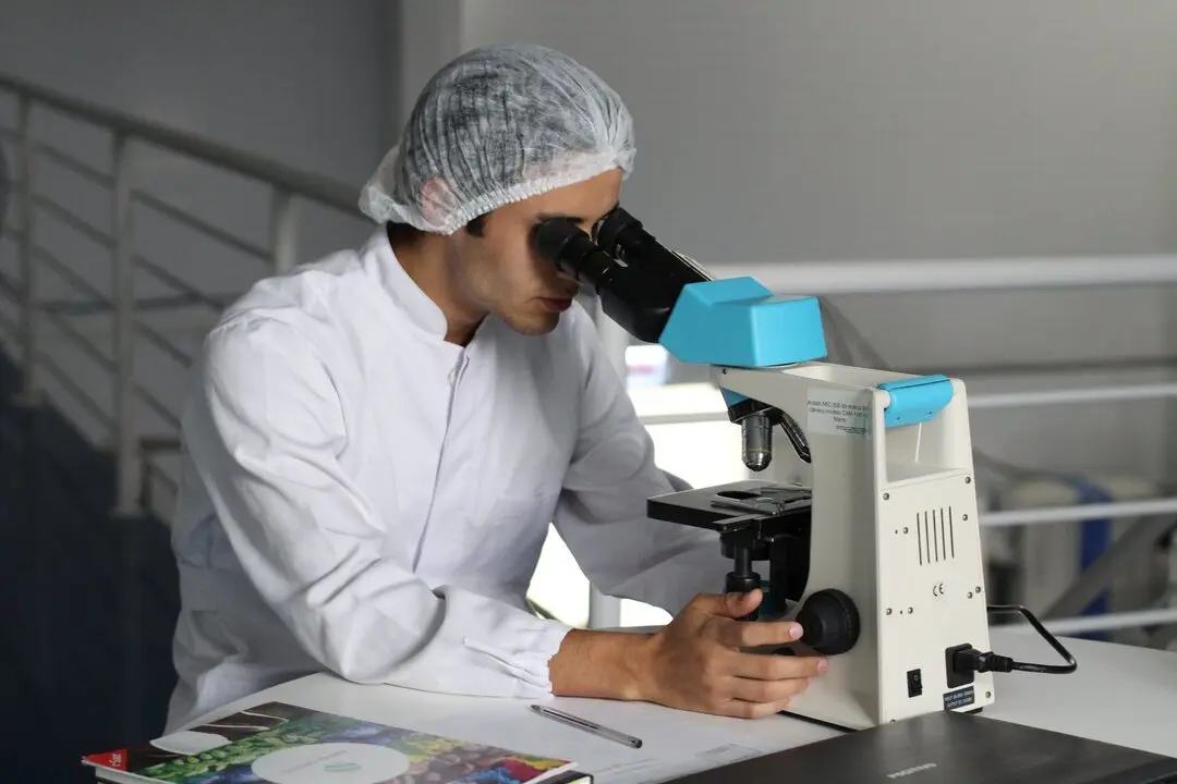 Investigadores doctores. Europa Press.