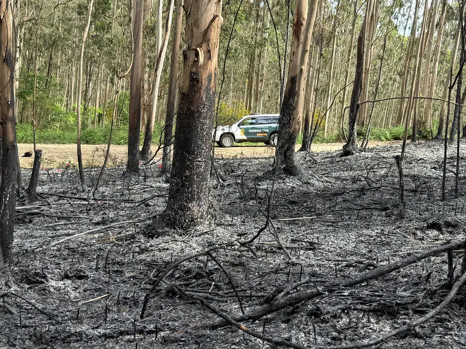 EuropaPress_6903219_investigado_hombre_incendio_lousame
