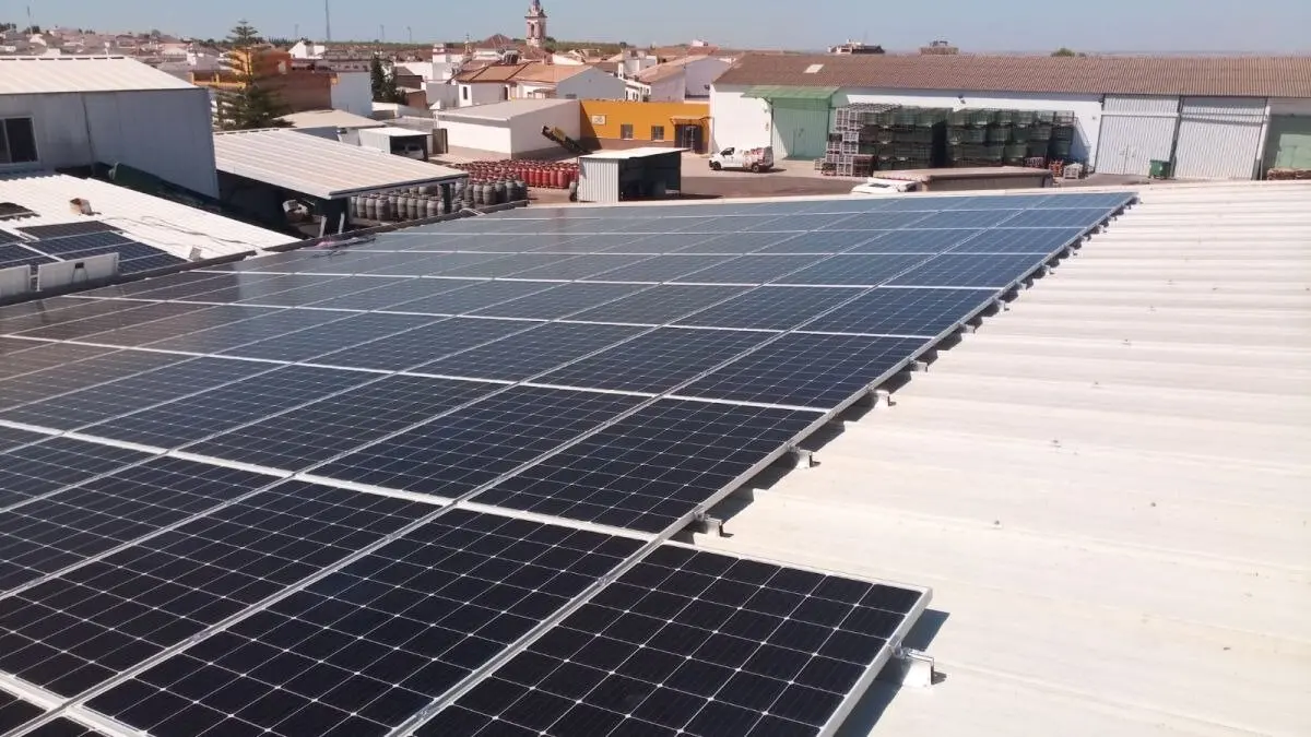 Un panel solar en una imagen de archivo | UNEF