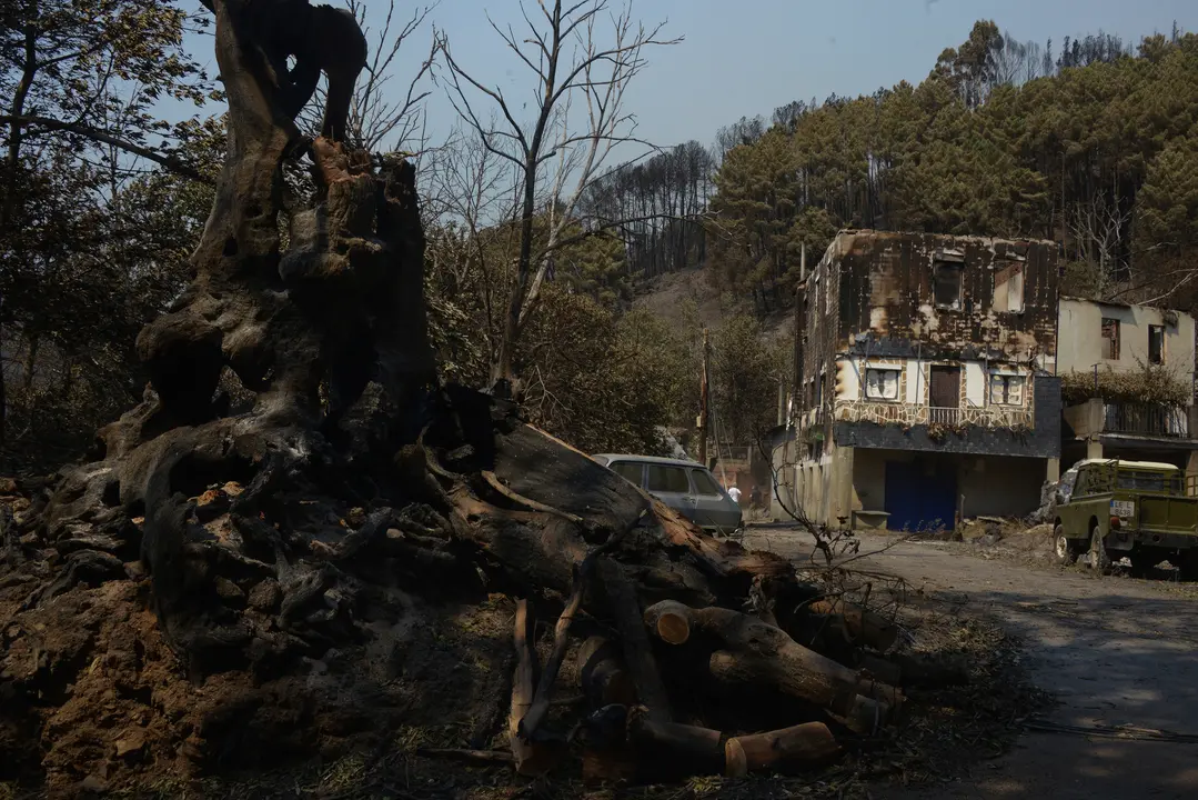 Vista tras el incendio en San Vicente de Leira | Rosa Veiga / Europa Press