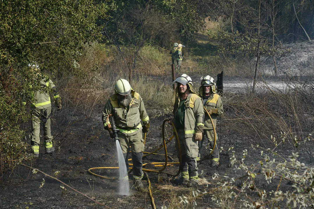 Varios bomberos trabajan en la extinci&oacute;n. | Europa Press.