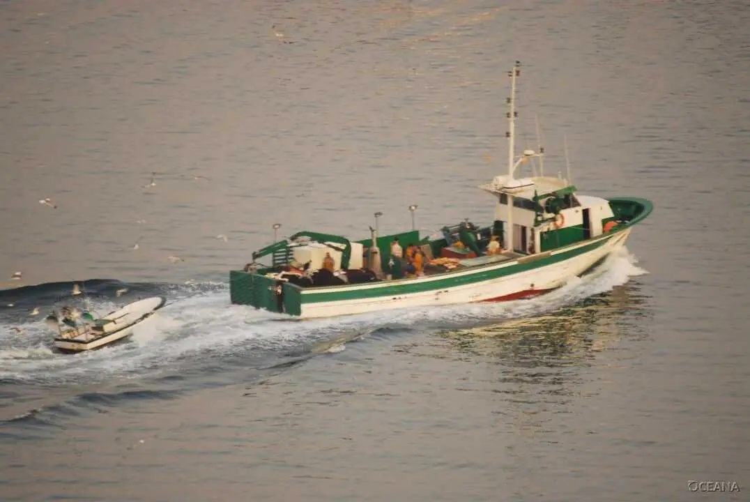Foto de Oceana Juan Cuetos.
