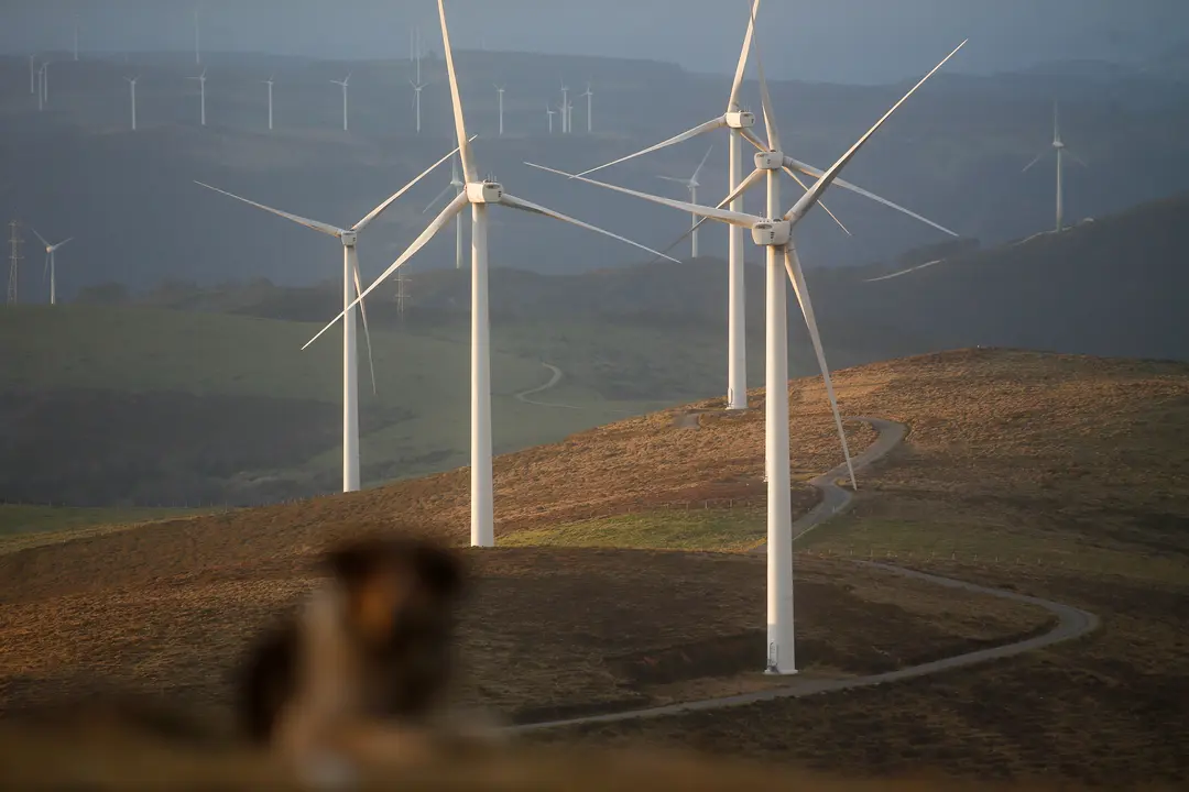 Un parque e&oacute;lico, a 28 de marzo de 2025, en Muras, Lugo, Galicia.
- Carlos Castro - Europa Press