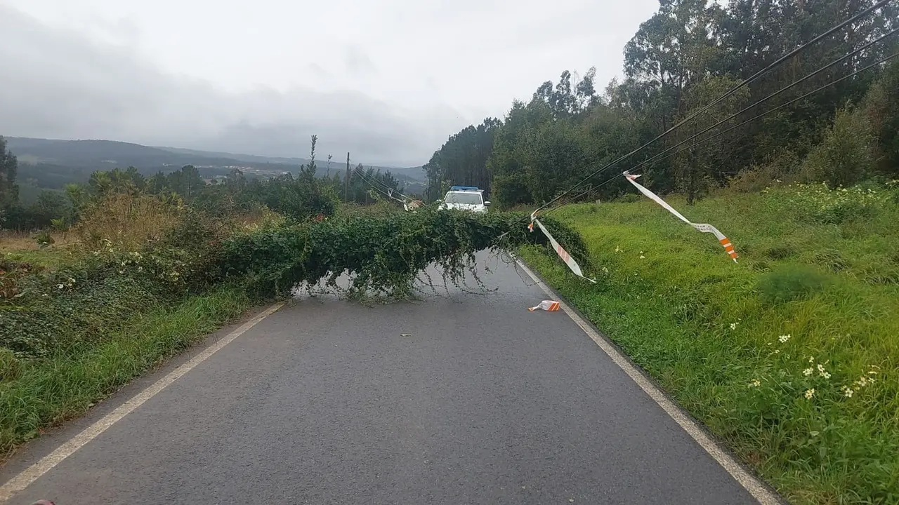 Un &aacute;rbol ca&iacute;do sobre el tendido el&eacute;ctrico corta la circulaci&oacute;n en una carretera de Carballo (A Coru&ntilde;a).
- CONCELLO CARBALLO
