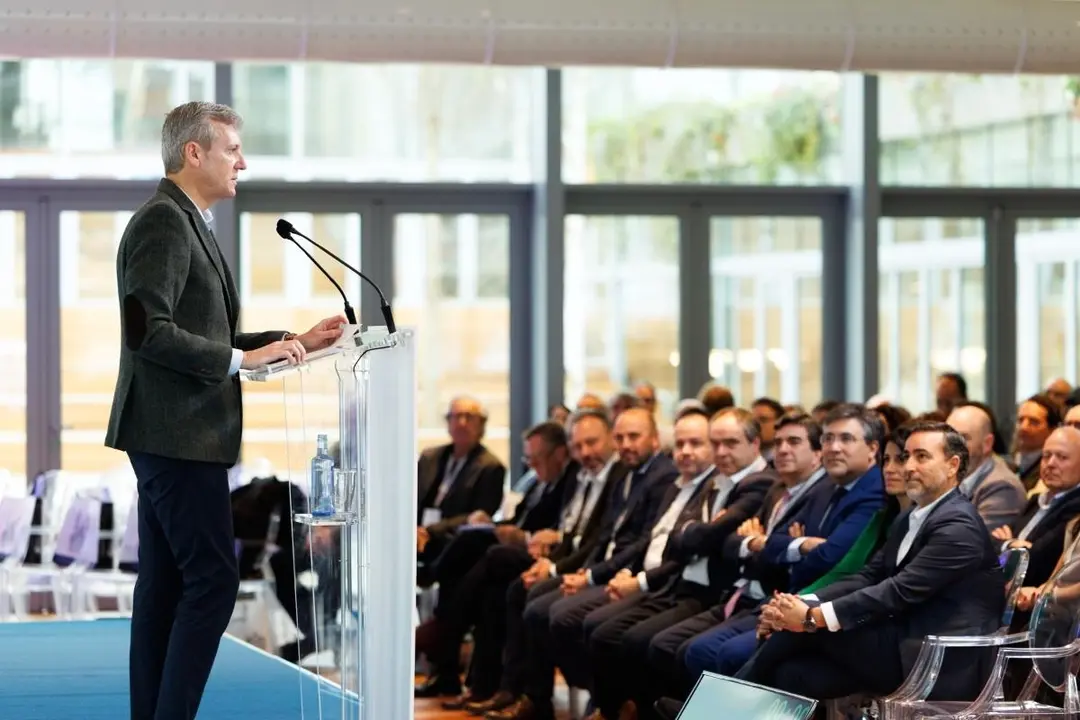 El presidente de la Xunta de Galicia, Alfonso Rueda | EP