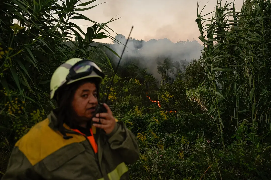 n del fuego, a 29 de julio de 2025, en Arbo, Pontevedra, Galicia (Espa&ntilde;a).
- Adri&aacute;n Irago - Europa Press