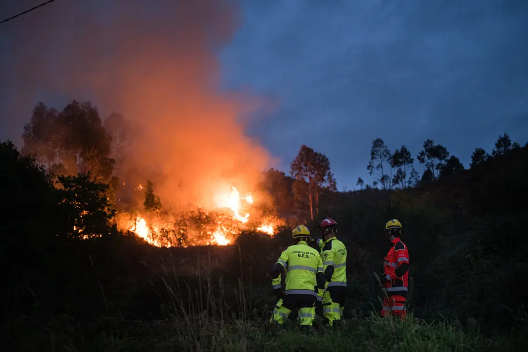 Bomberos trabajan en las tareas de extinci&oacute;n del incendio forestal. | Europa Press.