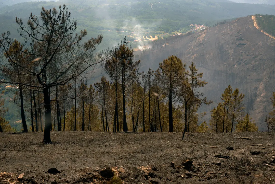 Zona quemada durante el incendio. | Europa Press.
