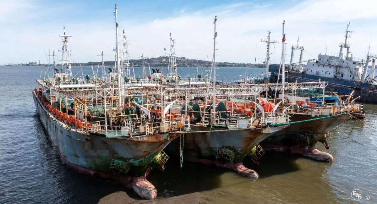 Pesqueros chinos, amarrados en el puerto de Montevideo. | Foto de Environmental Justice Foundation, EJF