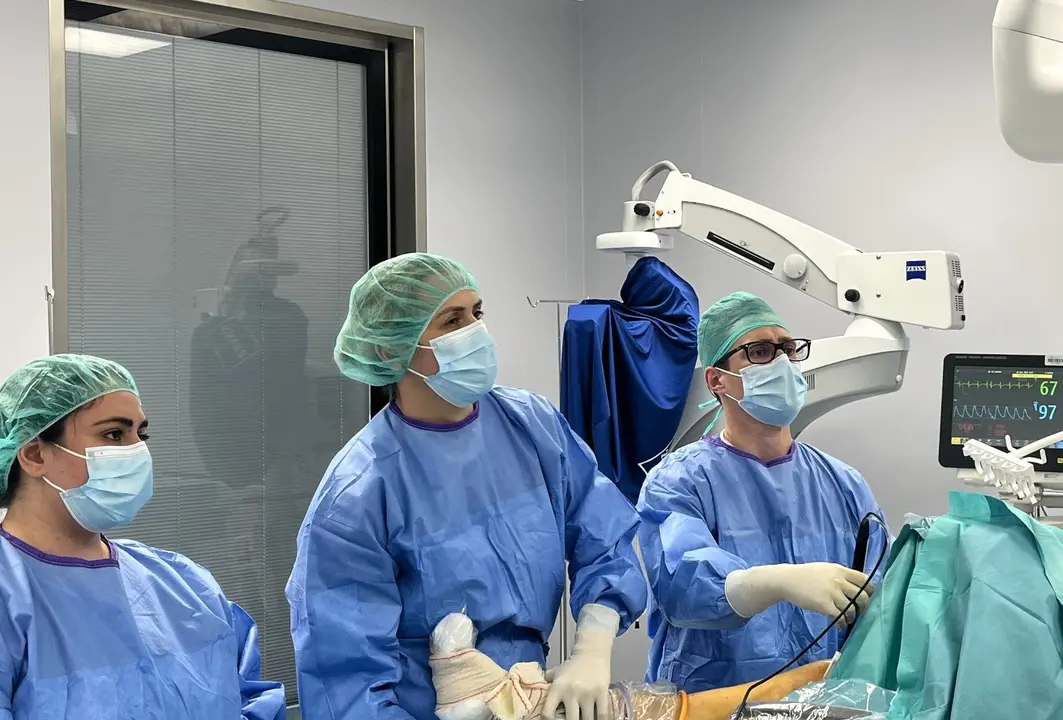 Aplicaci&oacute;n de la t&eacute;cnica de Latarjet en Quir&oacute;nsalud. | Quir&oacute;nsalud