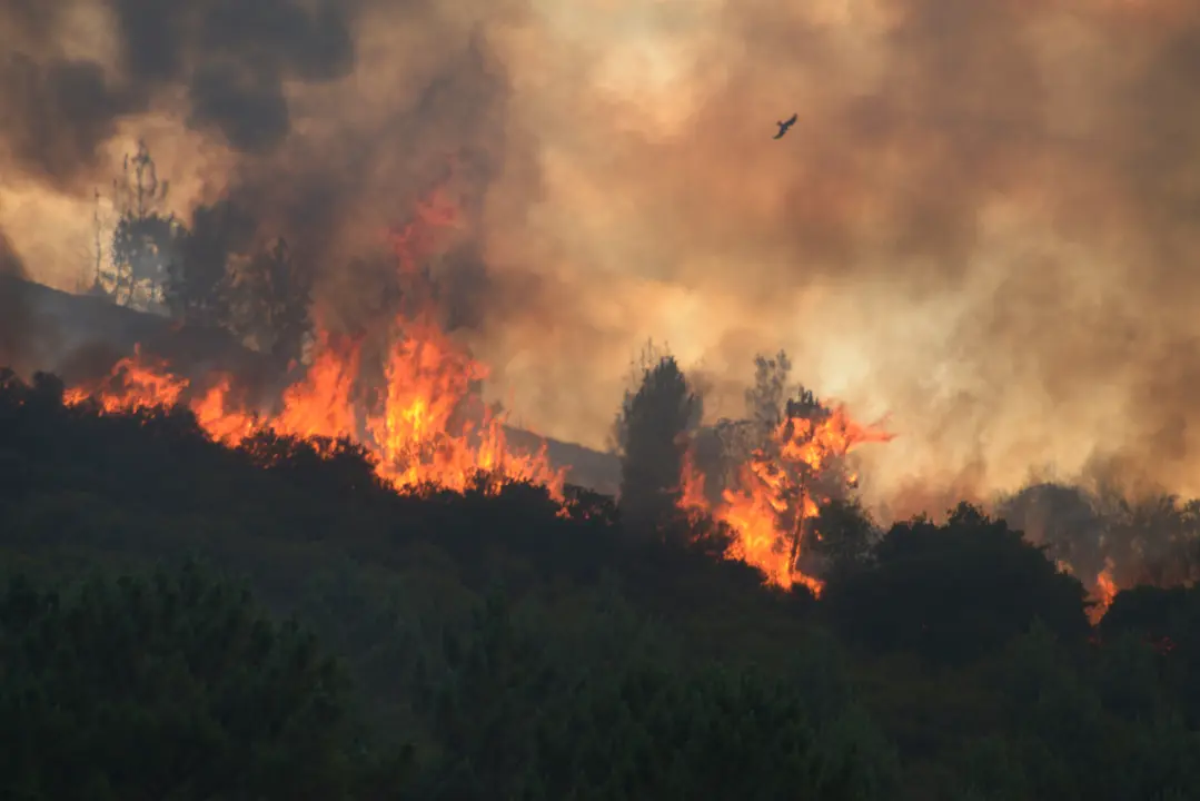 Vista del incendio forestal de Ribas de Sil, a 12 de julio de 2026, en Ribas de Sil. | Europa Press