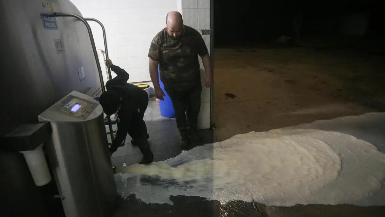 Un ganadero vierte la leche al suelo. - Europa Press