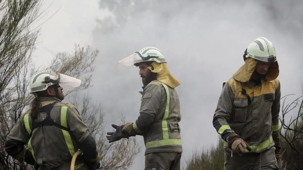Varios bomberos trabajan en la extinci&oacute;n del fuego. - Europa Press.