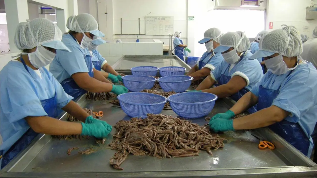 Convocadas ayudas para la industria alimentaria. - Europa Press