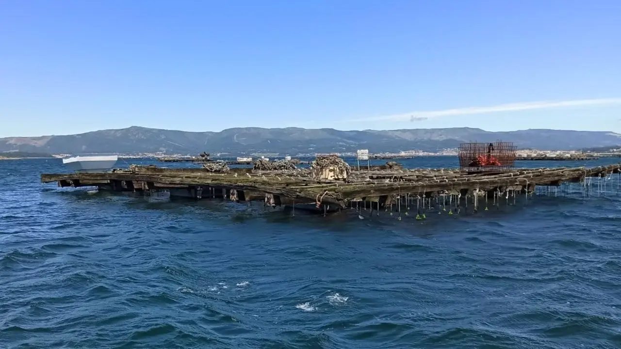 Batea de mejillones en A Illa de Arousa. - Europa Press