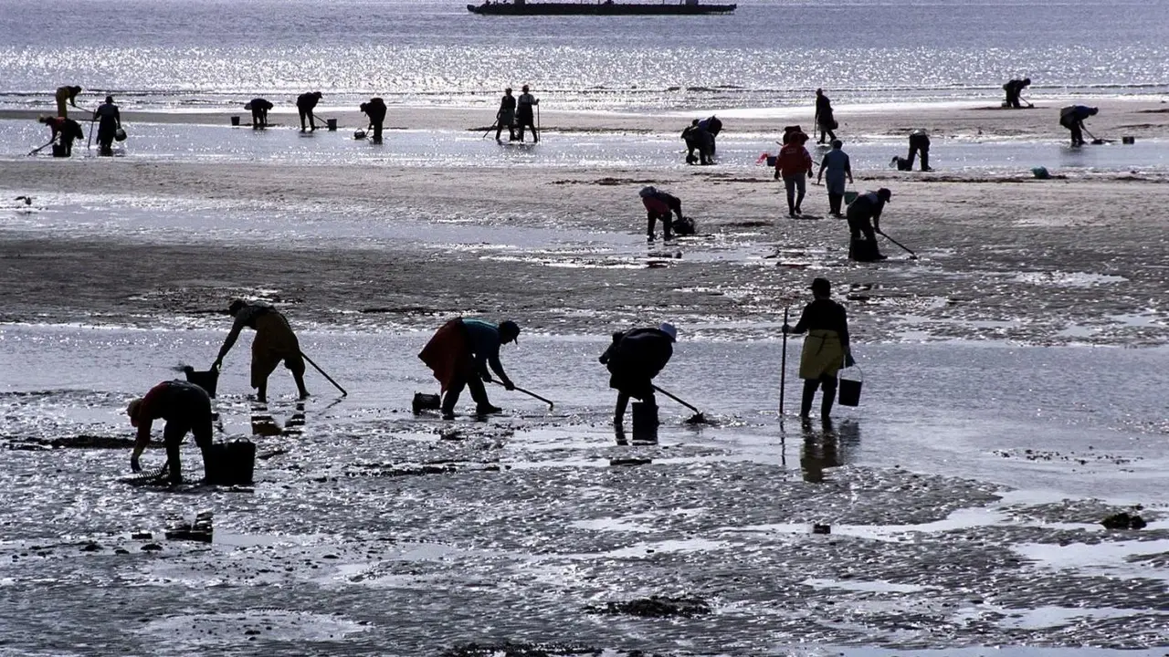 Mariscadores trabajando - Europa Press