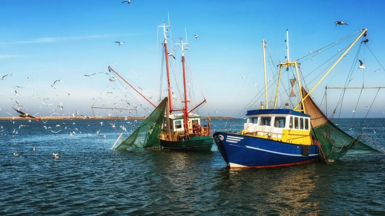 Barcos pescando. - Junta