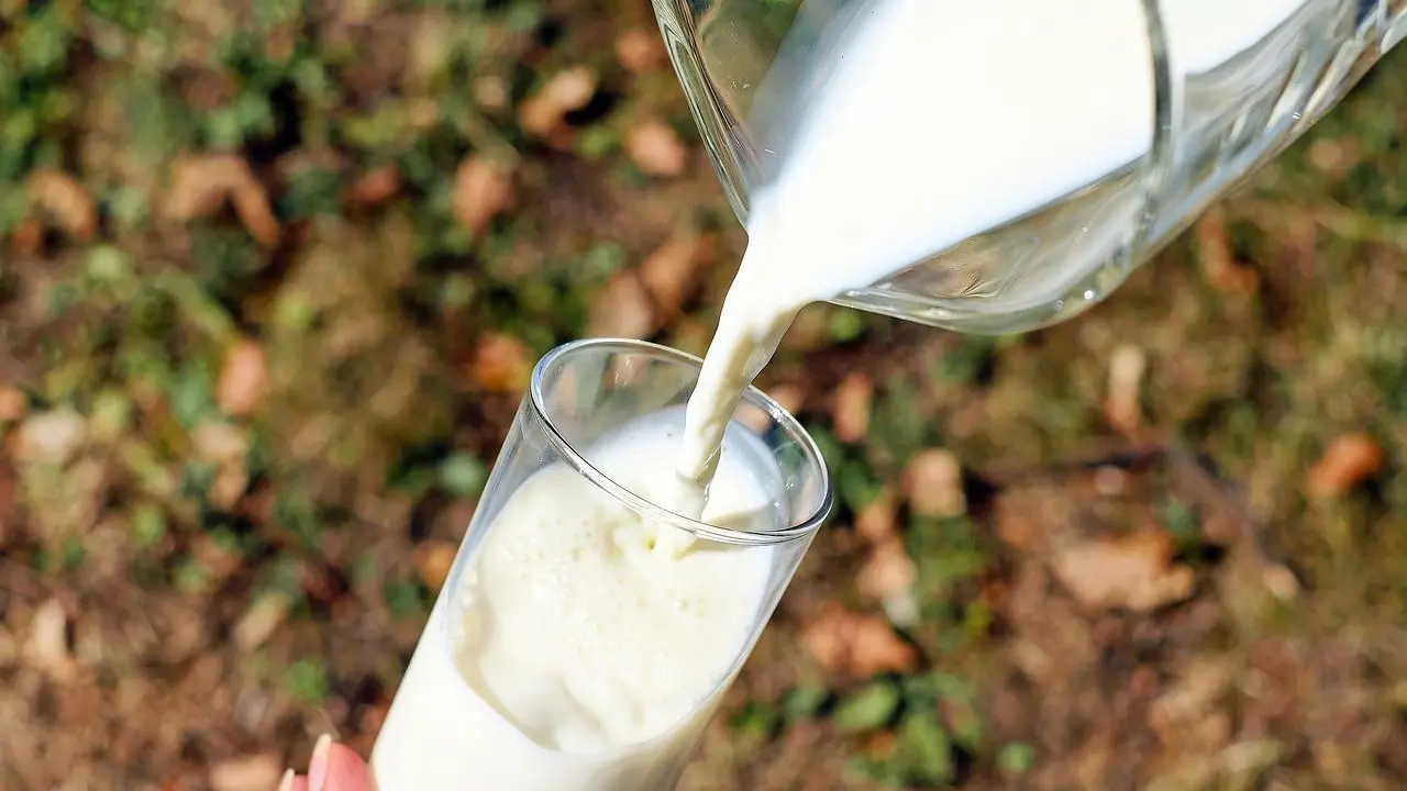 Vaso de leche. - Ilo en Pixabay