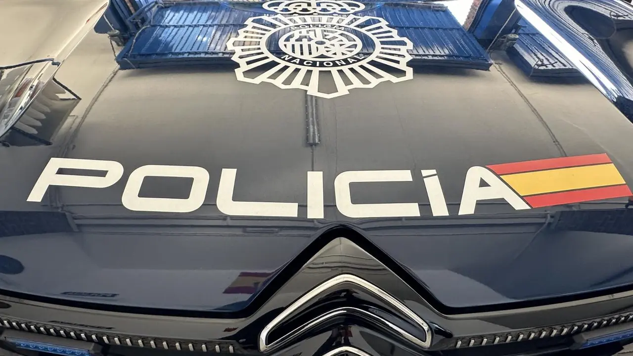 Coche Polic&iacute;a Nacional. Patrulla. - POLIC&Iacute;A NACIONAL