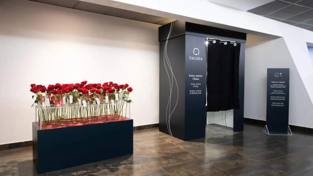 El 'jard&iacute;n de rosas' de Caldea. - 