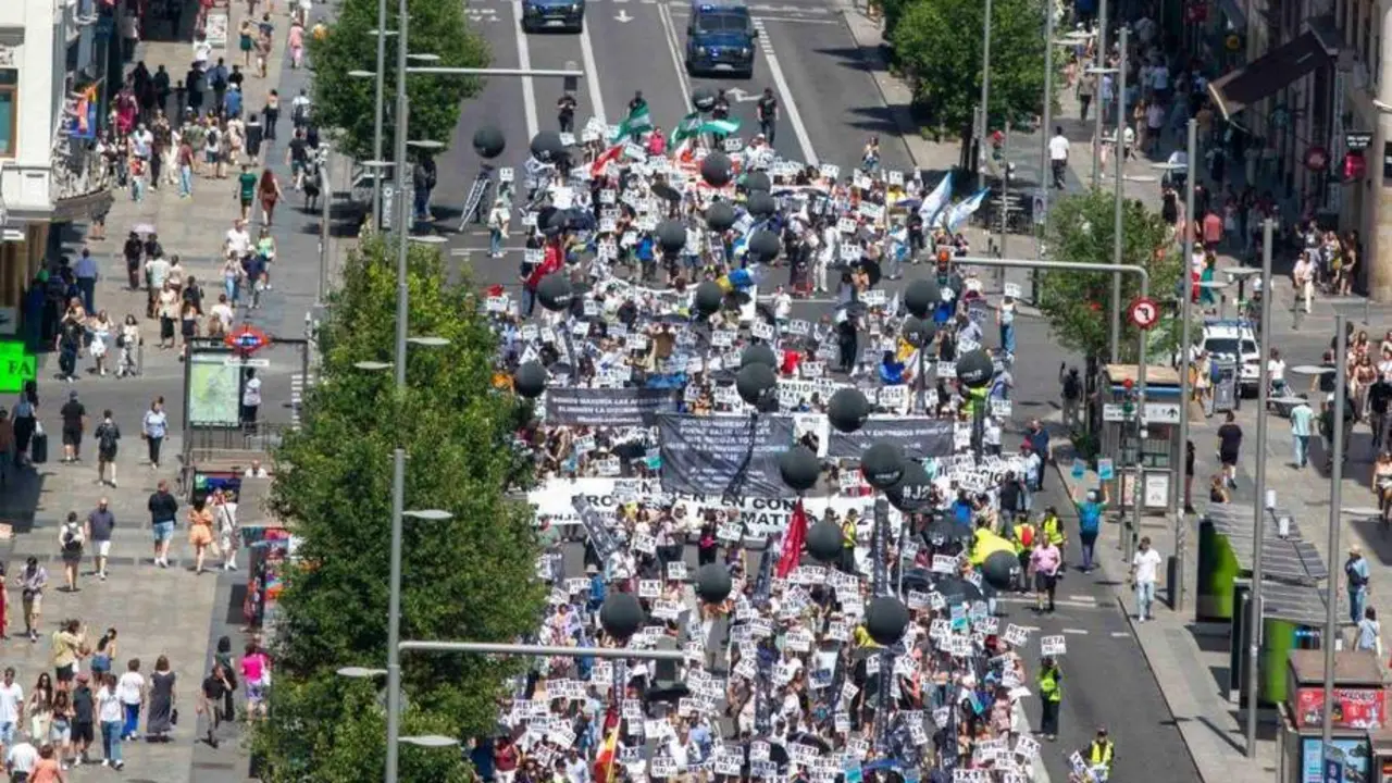 Manifestaci&oacute;n. - 