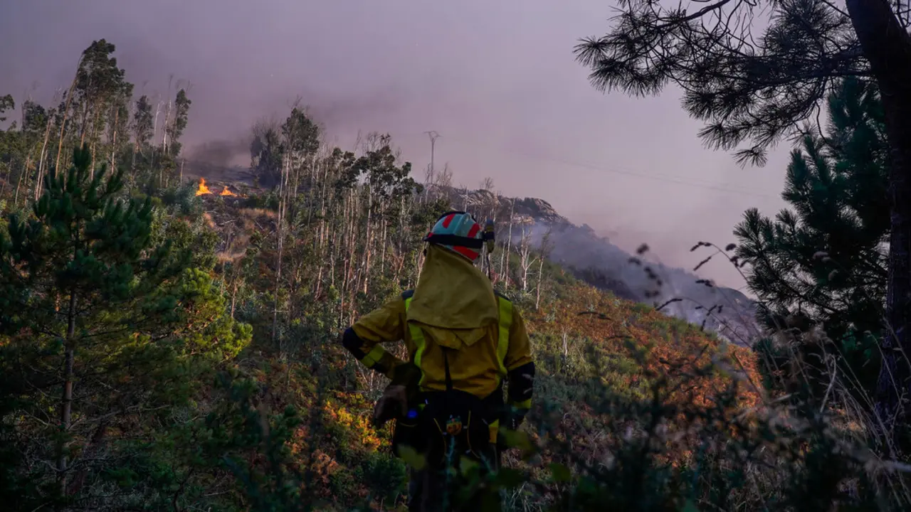 Un bombero observa el fuego | EP