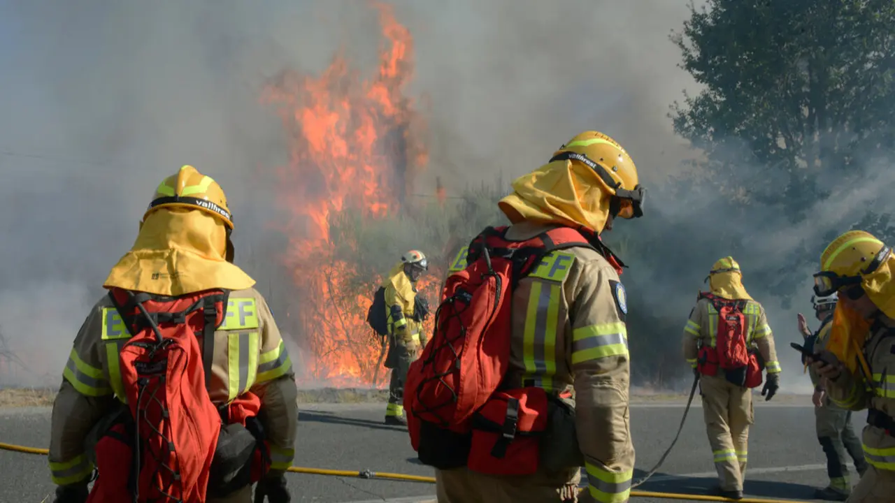 Incendio forestal en Oseira | Rosa Veiga / EP