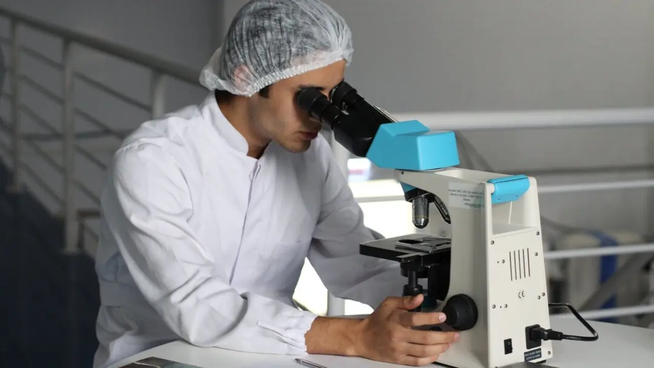 Investigadores doctores. Europa Press.