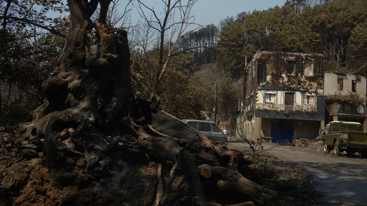 Vista tras el incendio en San Vicente de Leira | Rosa Veiga / Europa Press