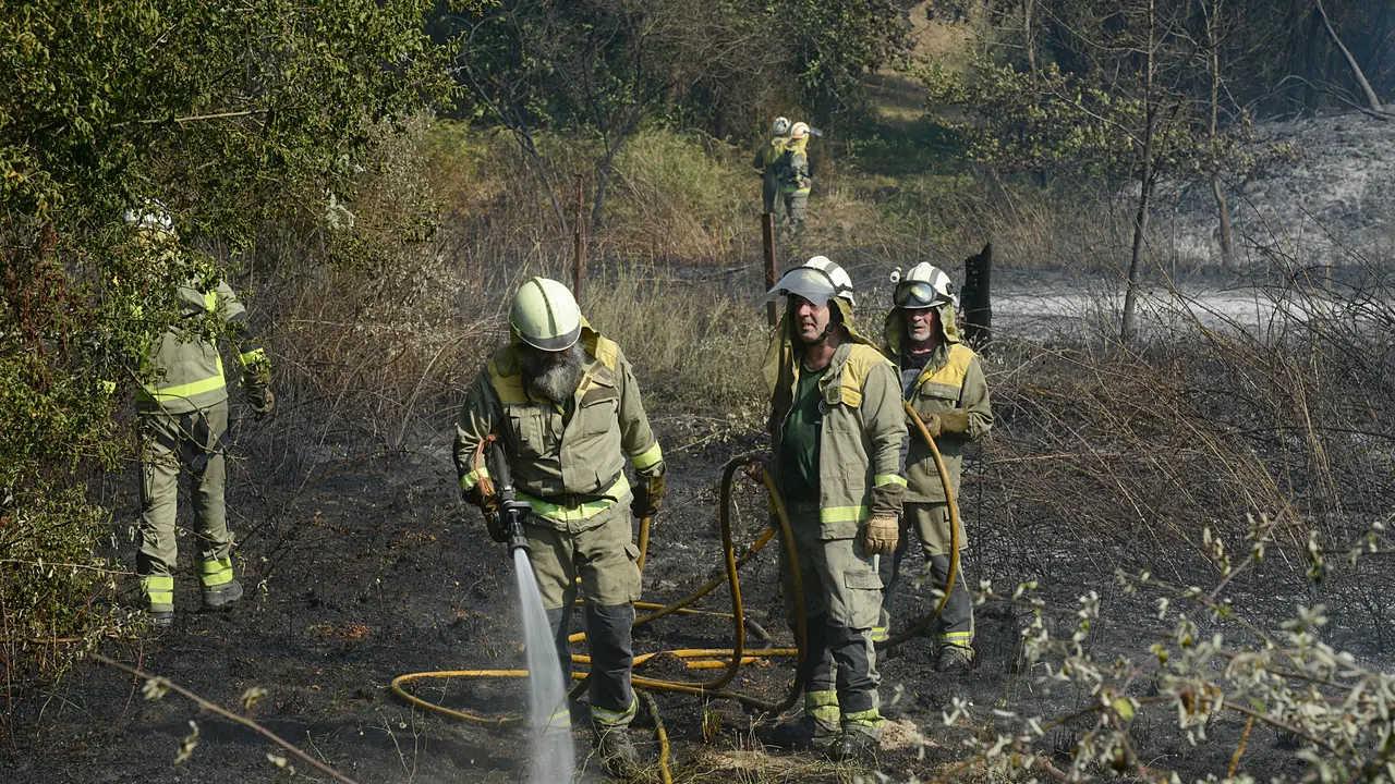 Varios bomberos trabajan en la extinci&oacute;n. | Europa Press.
