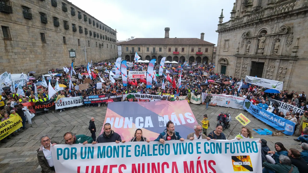 Decenas de personas durante la manifestaci&oacute;n contra la gesti&oacute;n de la Xunta de Galicia en los incendios forestales | C&eacute;sar Arxina / Europa Press