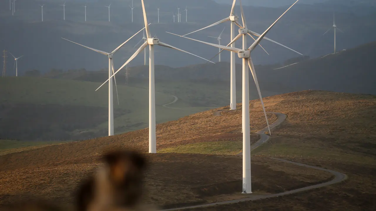 Un parque e&oacute;lico, a 28 de marzo de 2025, en Muras, Lugo, Galicia.
- Carlos Castro - Europa Press