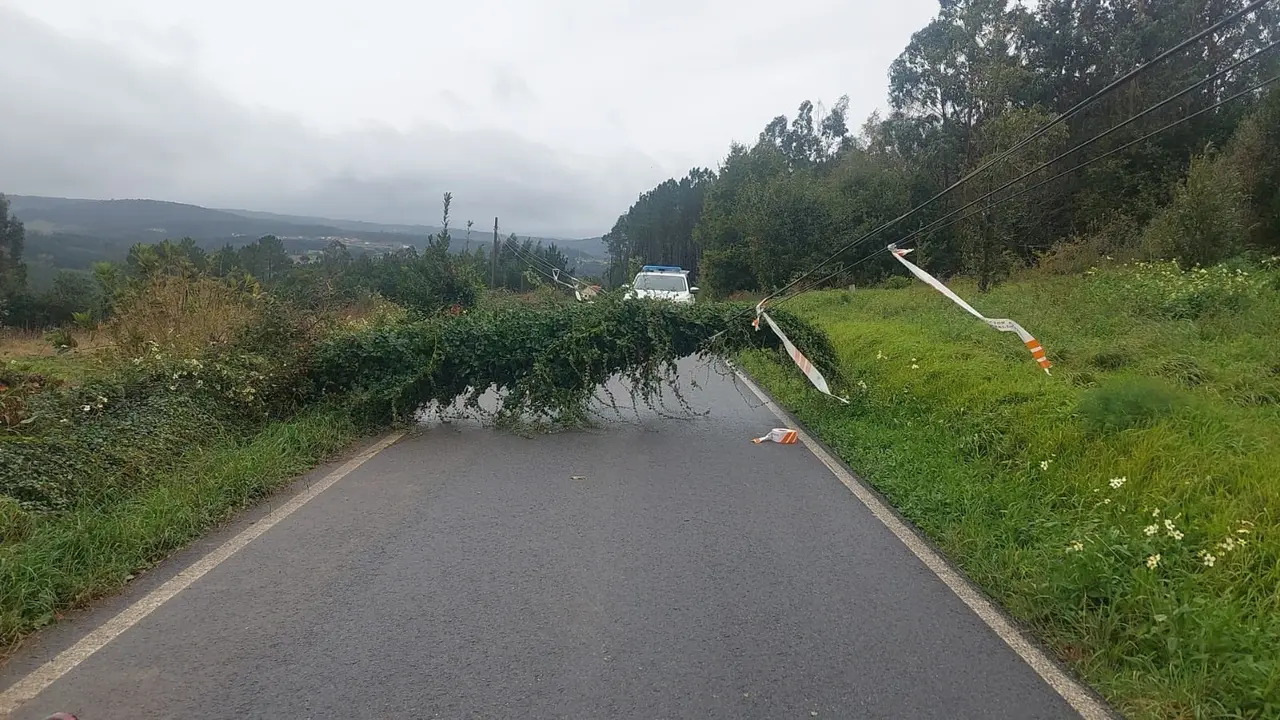 Un &aacute;rbol ca&iacute;do sobre el tendido el&eacute;ctrico corta la circulaci&oacute;n en una carretera de Carballo (A Coru&ntilde;a).
- CONCELLO CARBALLO