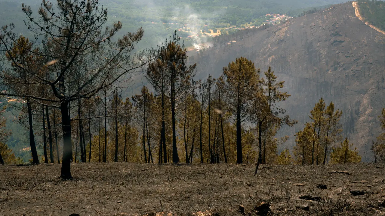 Zona quemada durante el incendio. | Europa Press.