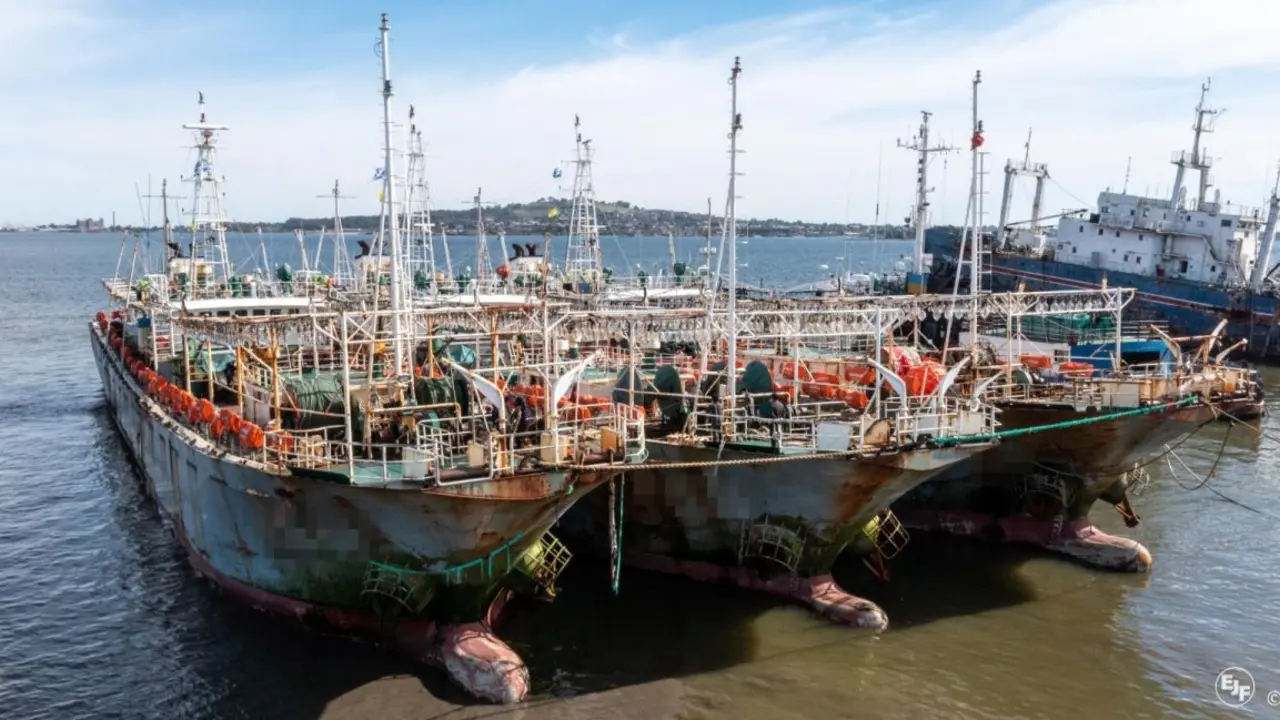 Pesqueros chinos, amarrados en el puerto de Montevideo. | Foto de Environmental Justice Foundation, EJF