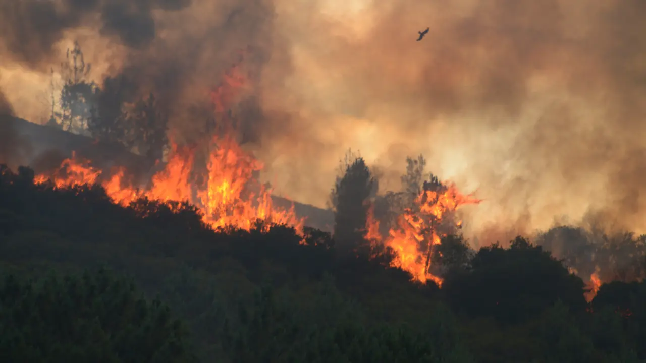 Vista del incendio forestal de Ribas de Sil, a 12 de julio de 2026, en Ribas de Sil. | Europa Press